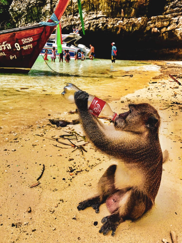 10 days in Thailand- Monkey Bay