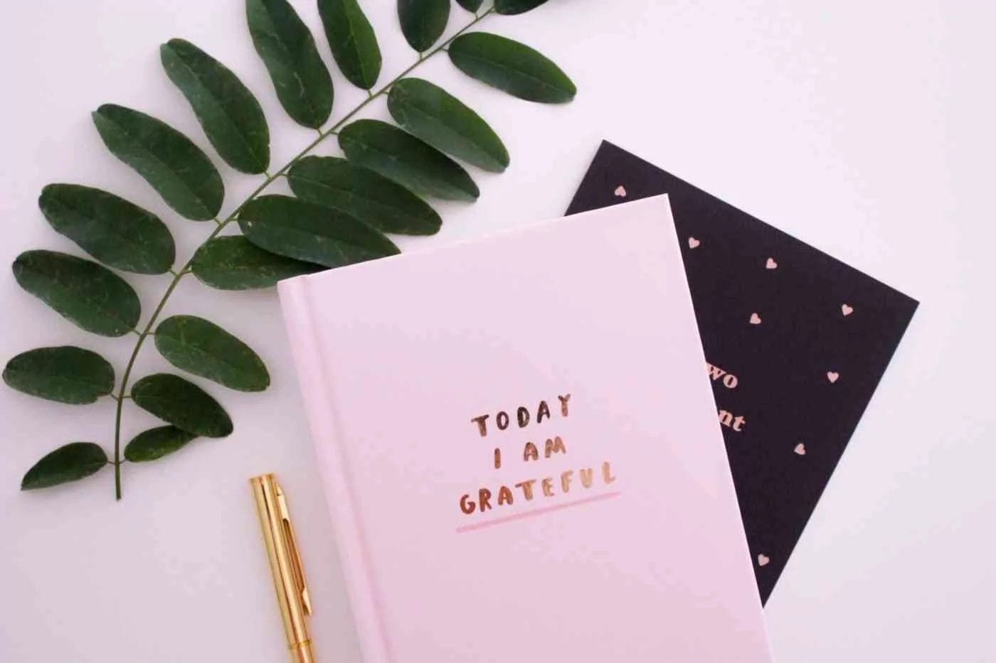 mindful morning routine journal for gratitude