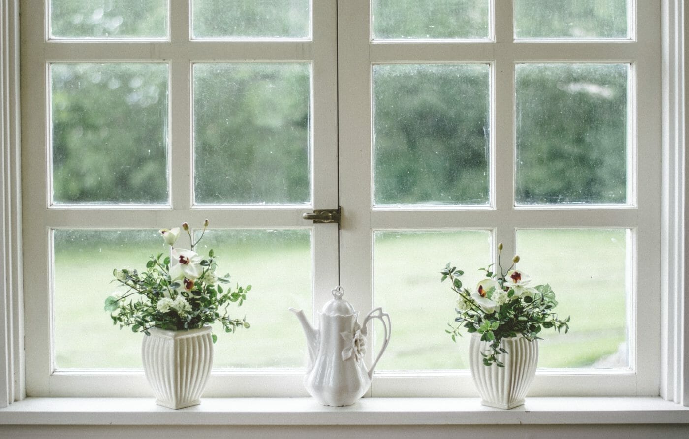 view looking outside of a window with plants on the windowsill