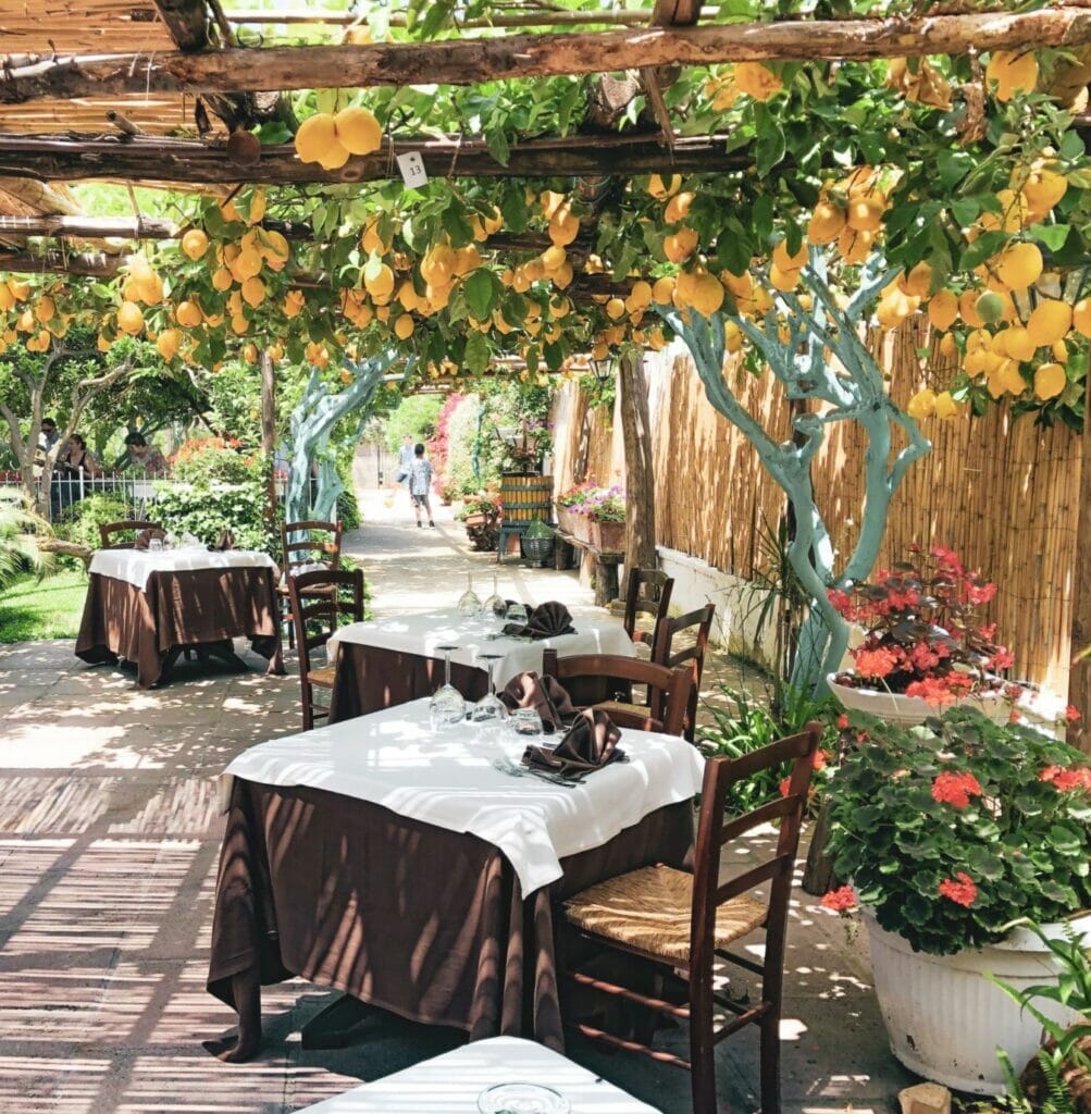 The Lemon orchard hanging over La Pergola Procida Restaurant