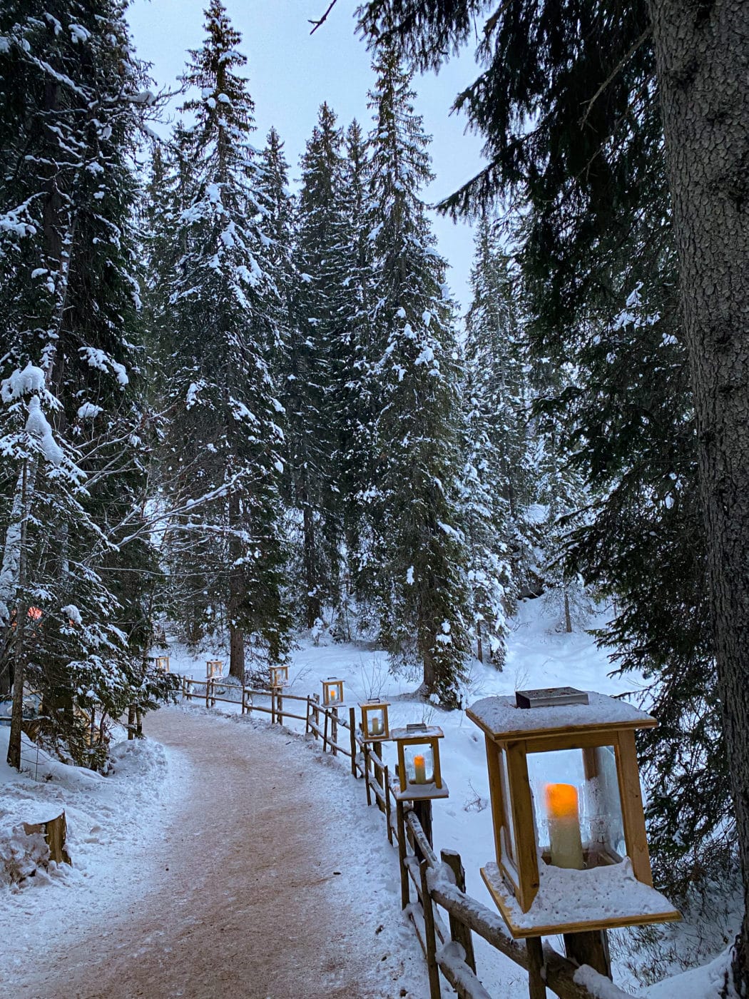snowy path in the woods lit by lanterns in the dolomites, italy at lago di carezza