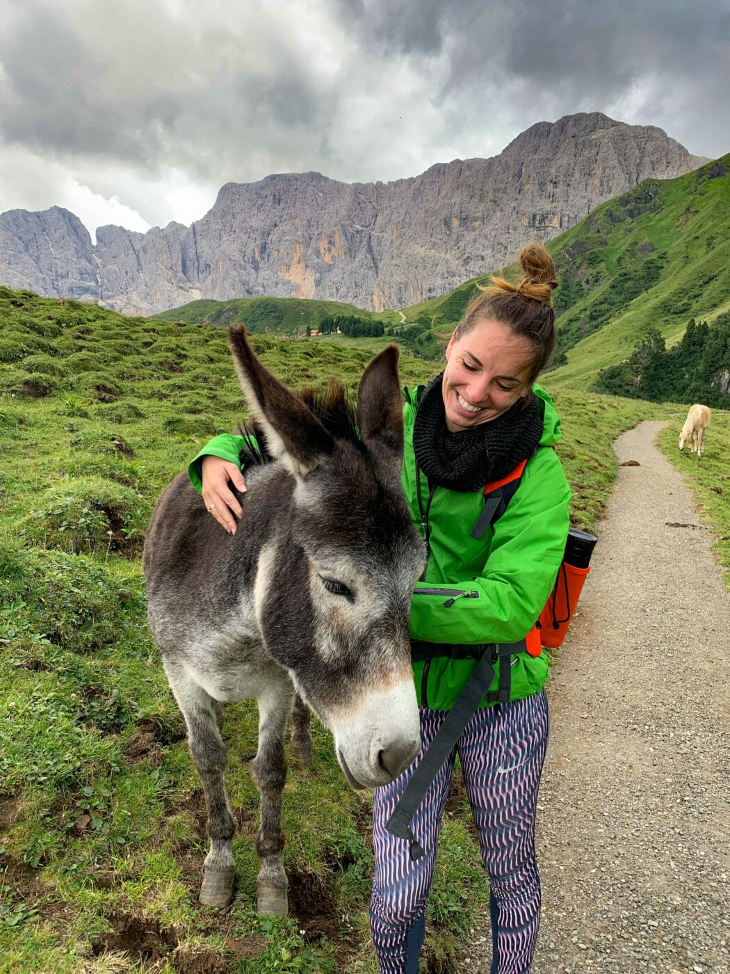woman petting donkey in a green meadow while hiking Alpe di Siusi in the Dolomites