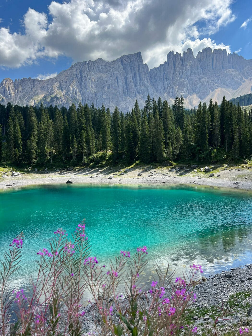 pink and violet flowers bordering the aquamarine and rainbow colored Lago di Carezza in the Dolomites Italy