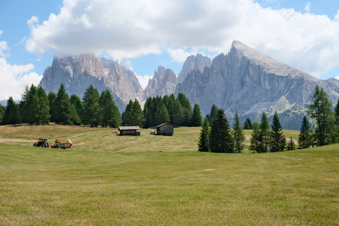 view of the Odle peaks from Alpe di Siusi meadows in the Dolomites