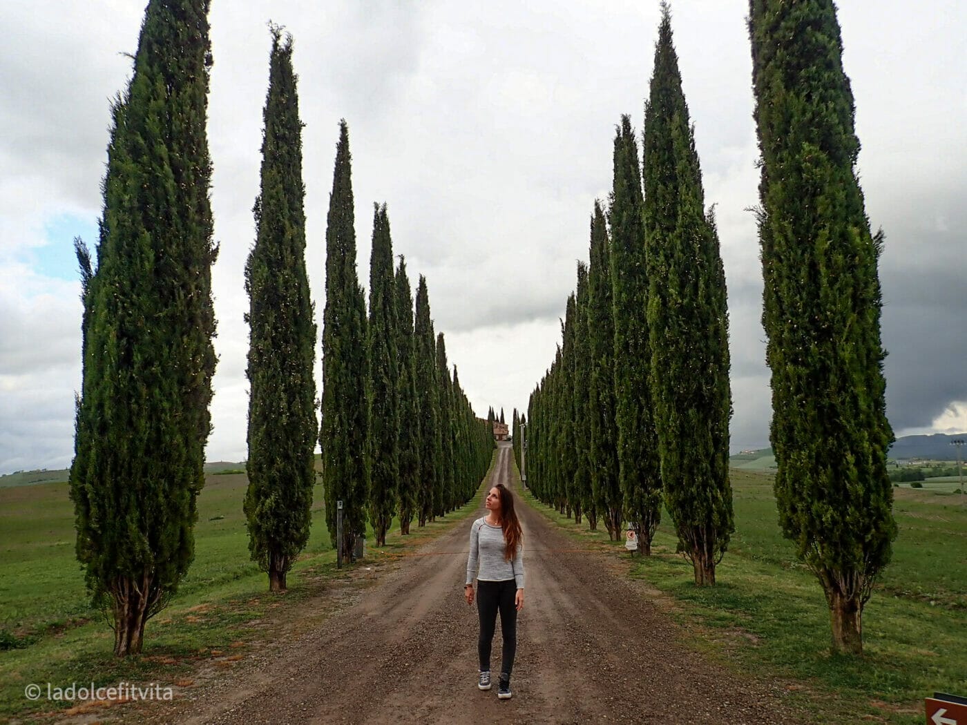 woman standing on a road lined with cypress trees near poggio covili farmhouse in tuscany