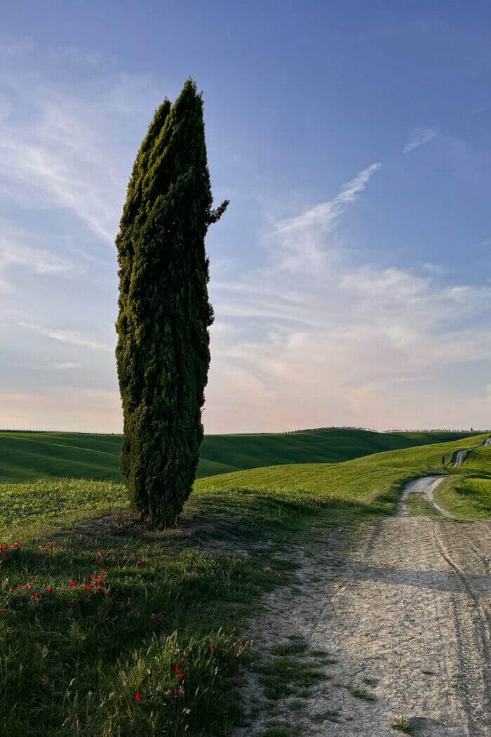 Exploring the Rolling Hills of Tuscany – 9 Top Photo Locations