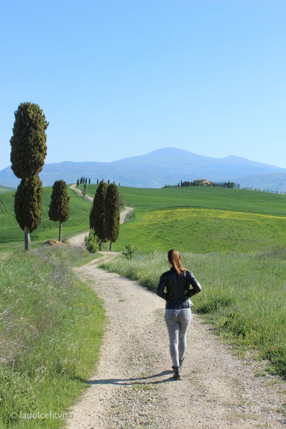 a woman walking on the path lined by cypress trees where the gladiator movie was filmed in tuscany italy