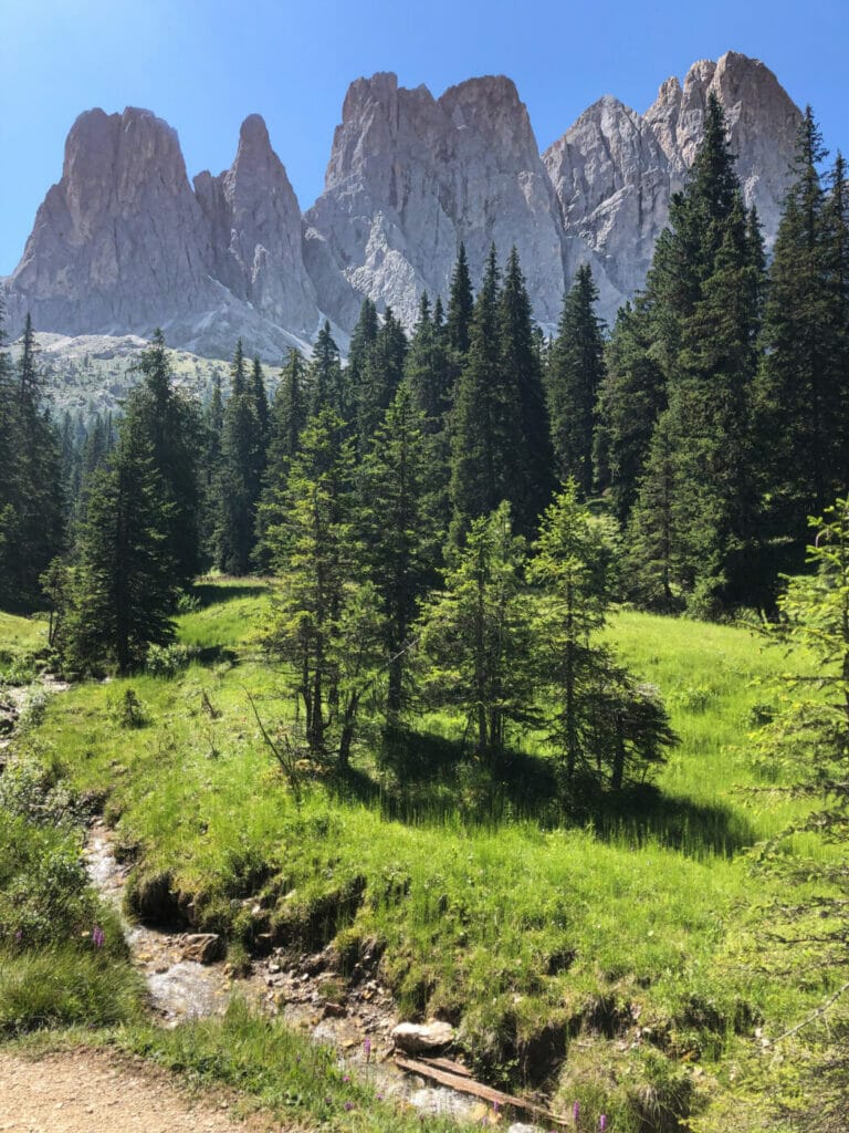 little stream with view of dolomite mountains in the background