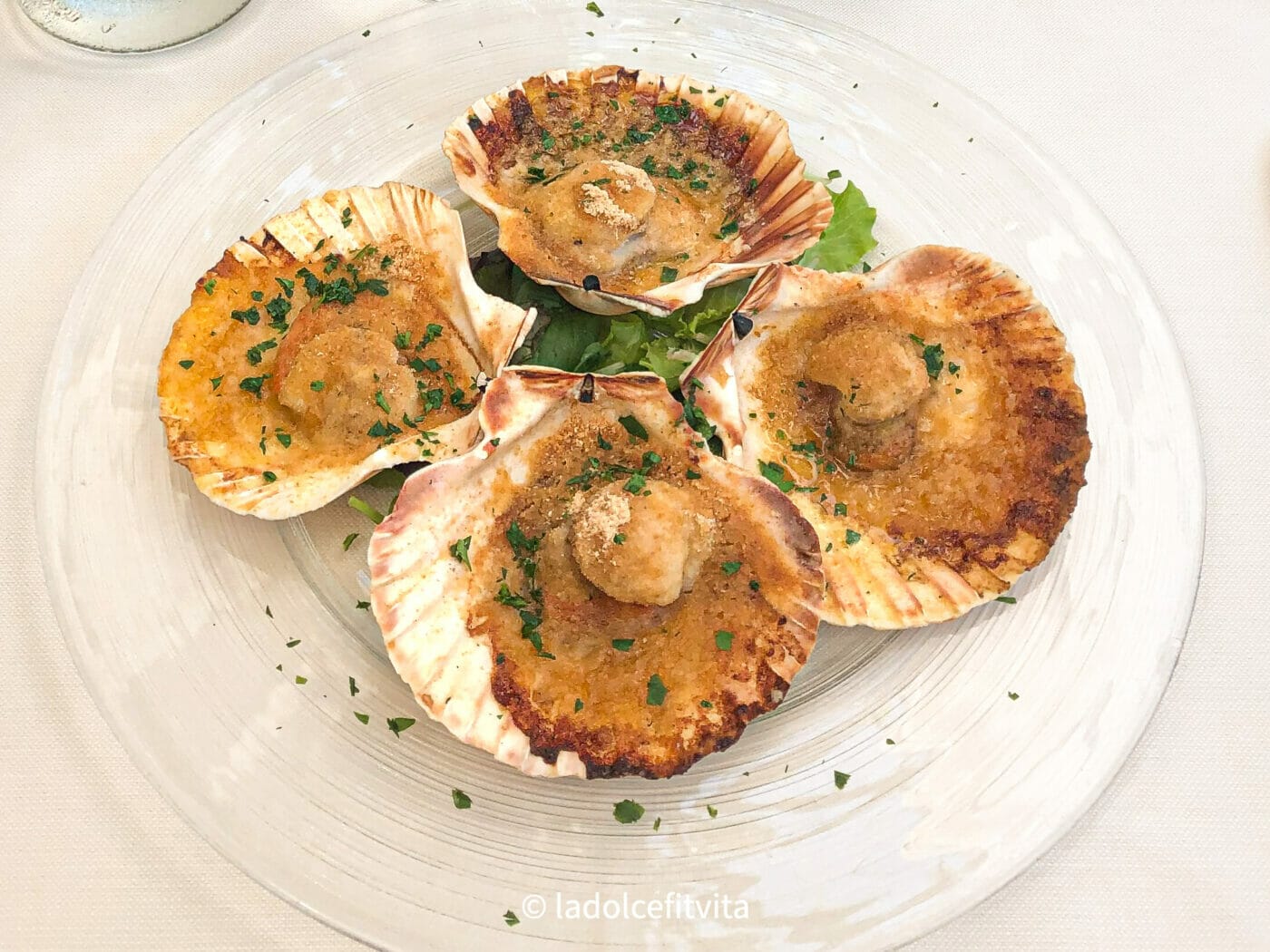 four scallops plated on seashells