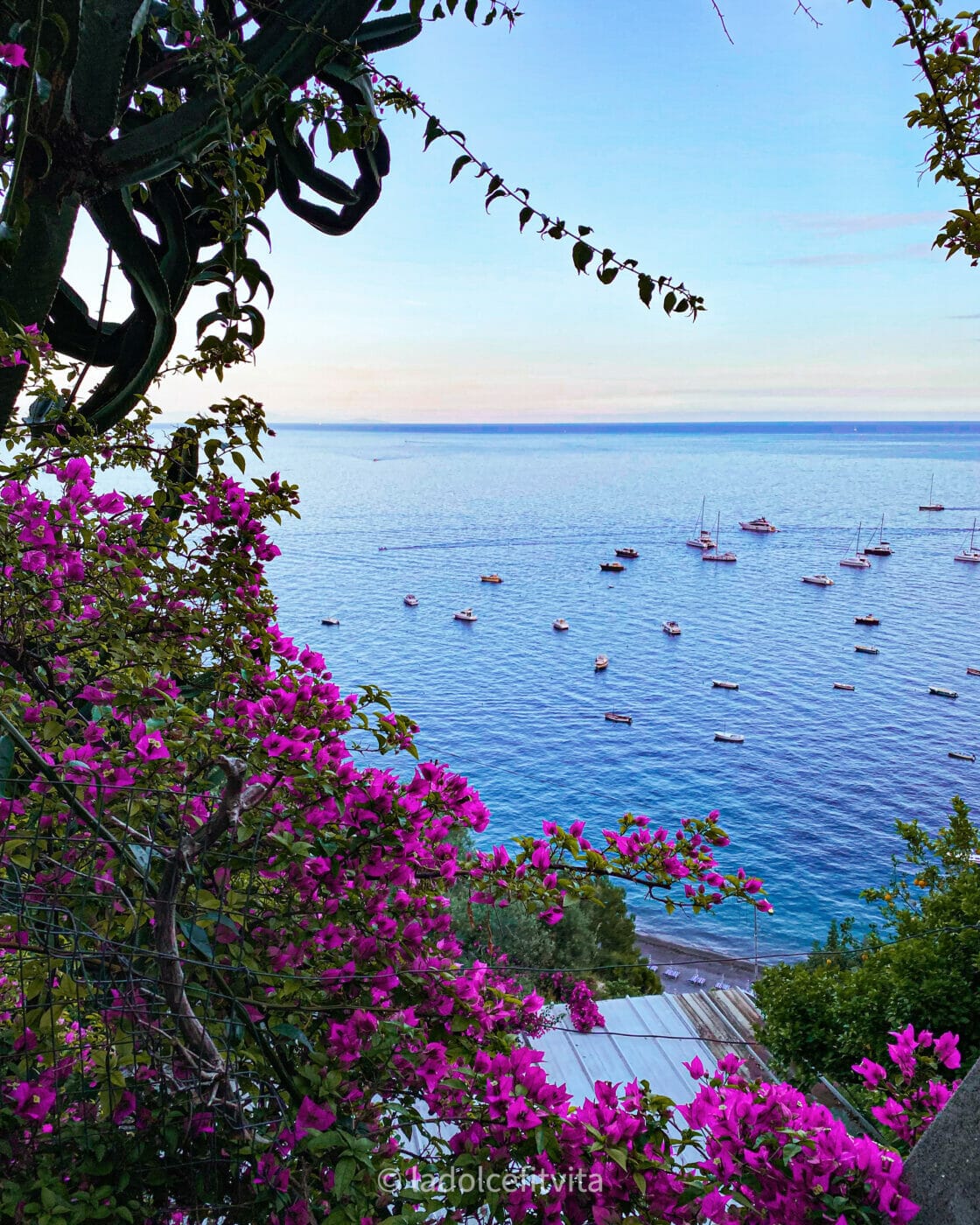 framed by pink flowers, a view of the blue sea with boats from the stairs of Positano town in Italy