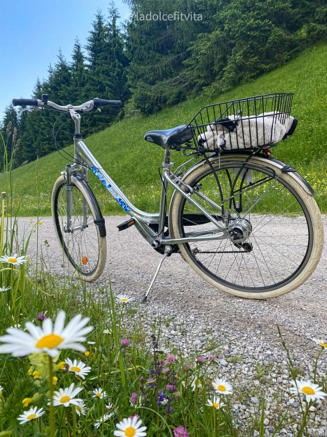 city bike parked along a beautiful gravel bike path in the Dolomites with daisies on the side of the trail