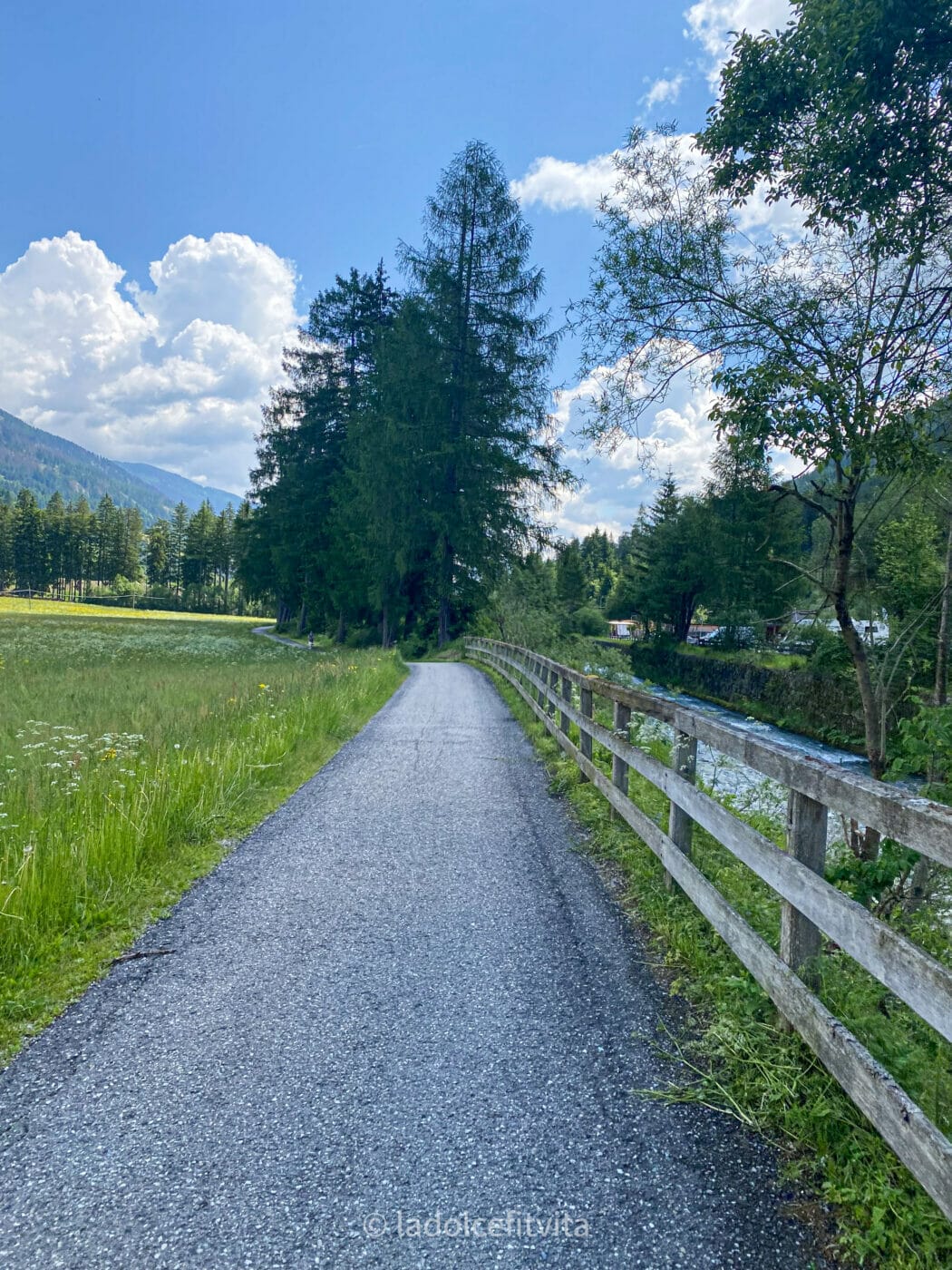 paved bike path in the Dolomites leading from Dobbiaco Italy to Lienz Austria with grass and trees on either side of the trail
