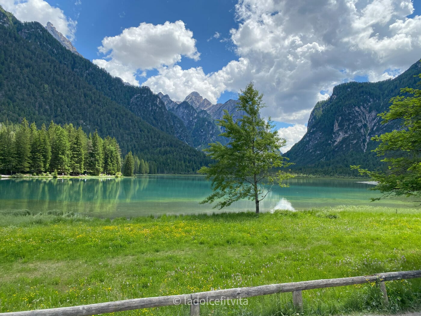 turquoise lake with lush lawn and mountains in the background at Lago di Dobbiaco in the Dolomites Italy