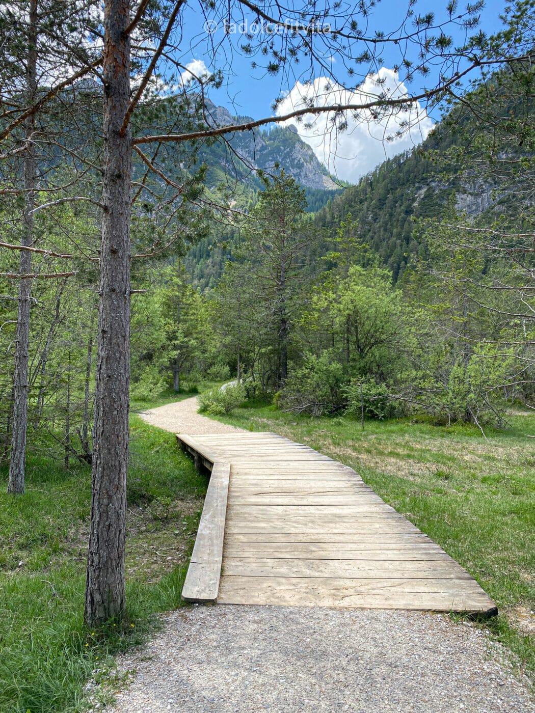 wooden boardwalk floating above grassy area with mountains in the background