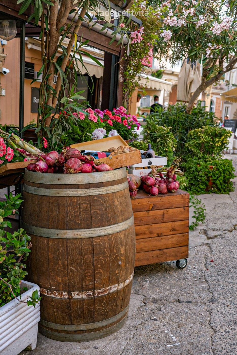 tropea red onions set out on wine barrels around town